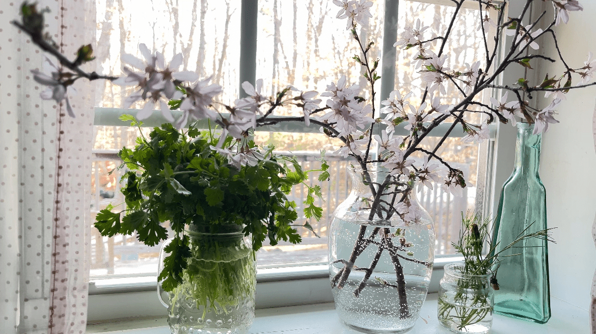 Herbs and flowers in kitchen window